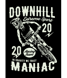Downhill Maniac Racing